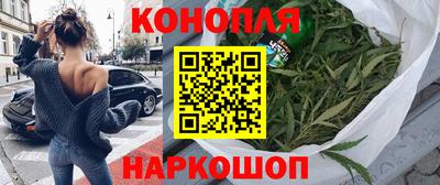 стафф Бердск