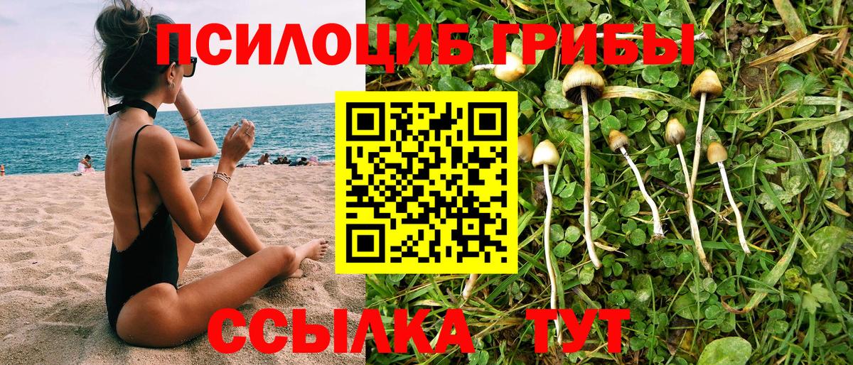 Галлюциногенные грибы ЛСД  Вход с VPN  Кашира 