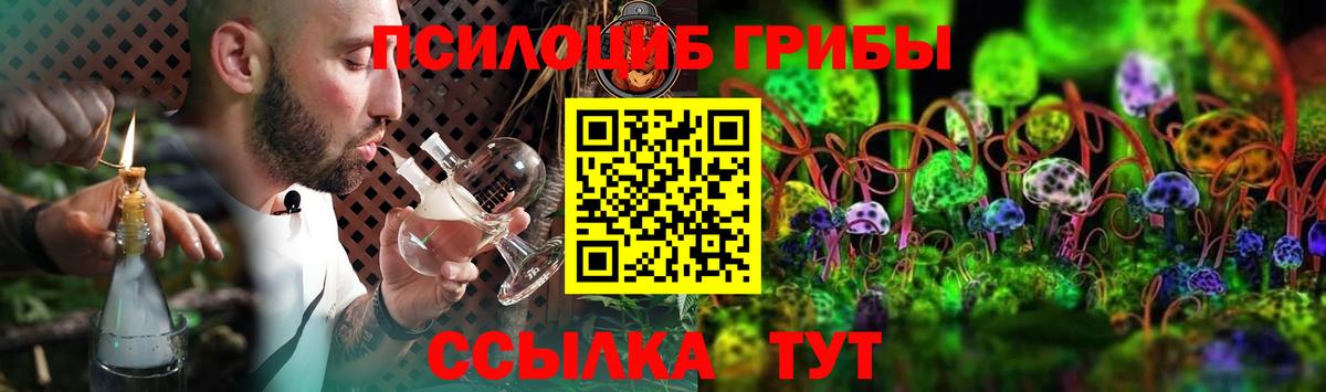 Галлюциногенные грибы Magic Shrooms Кашира